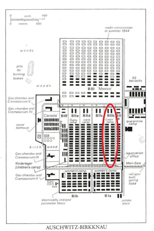 Camp map of Auschwitz-Birkenau, with Biib circled in red. From:  Nieuwsma, Milton J., ed. Surviving Auschwitz : Children of the Shoah 75th Anniversary Commemorative Edition / Milton J. Nieuwsma. 75th anniversary commemorative edition. Shelter Island, NY: Ibooks, 1998.