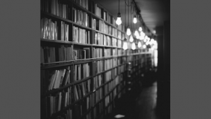 Buxus Stiftung,  Fritz Bauer Library